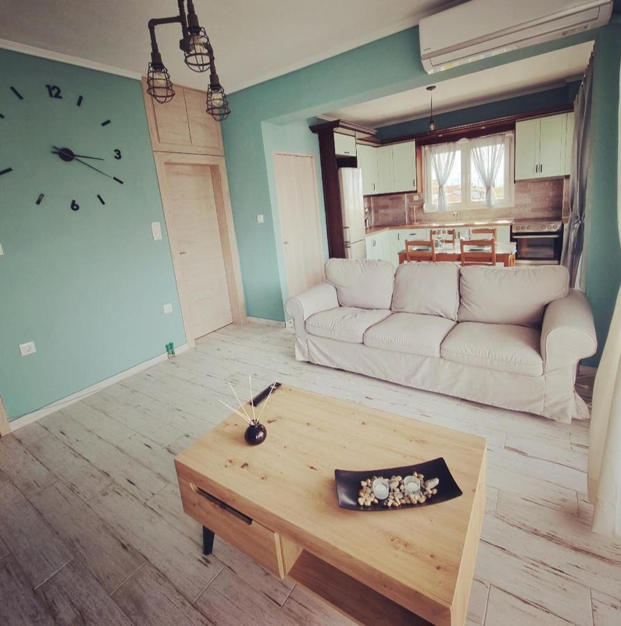 Tararas Apartments ネア・ミカニオーナ 部屋 写真